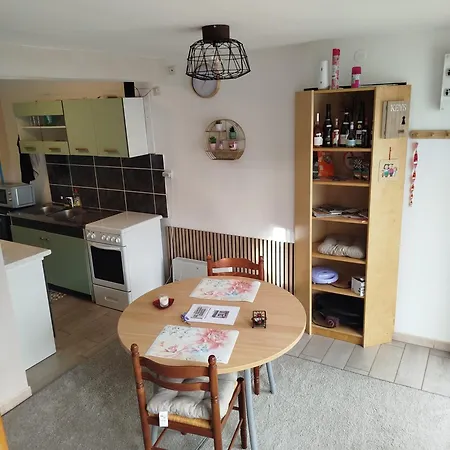 公寓 Le Petit Cosy Terrasse Et Petersbach