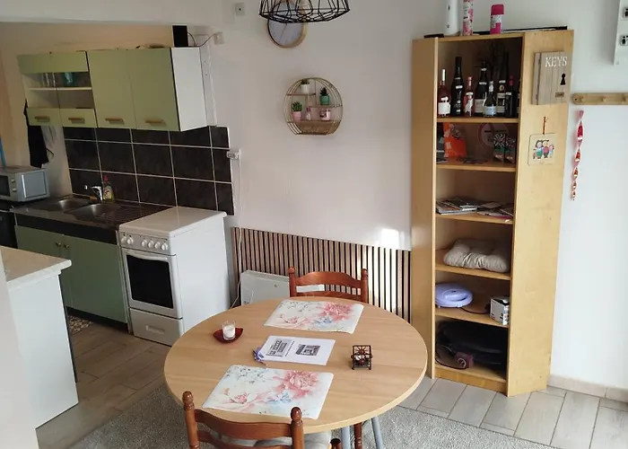 شقة Le Petit Cosy Terrasse Et Petersbach